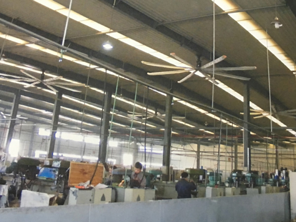 工業(yè)大吊扇安裝實例